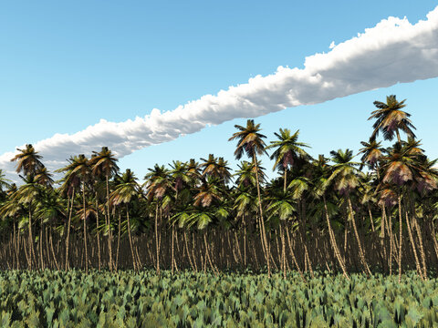 Tropische Landschaft mit Palmen
