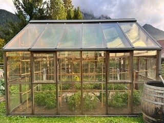 A glasshouse drenched in sunlight, N°1