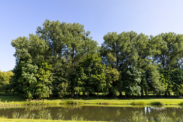an old abandoned swamp with dirty water