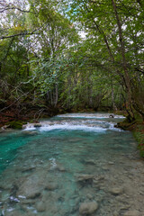 Naklejka premium The waterfalls and crystal clear, blue, turquoise and green waters of the Nacedero del Urederra, with its beech forest with its autumn colors in the Sierra de Urbasa-Andía. Navarre. Spain