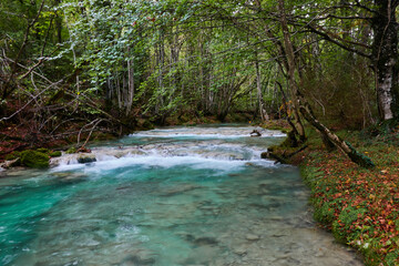 Obraz premium The waterfalls and crystal clear, blue, turquoise and green waters of the Nacedero del Urederra, with its beech forest with its autumn colors in the Sierra de Urbasa-Andía. Navarre. Spain