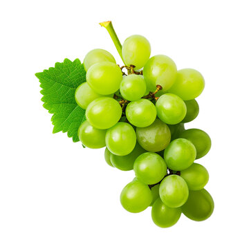 Bunch of fresh healthy green grapes isolated on white transparent  background. Created with generative AI