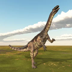 Cercles muraux Dinosaures Dinosaurier Plateosaurus in einer Landschaft