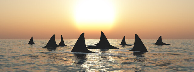 Haifische an der Meeresoberfläche bei Sonnenuntergang - 671617864