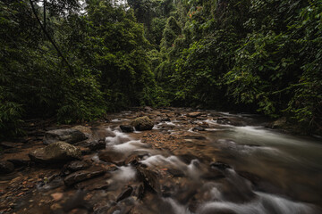 river in the jungle, southeast asia, Sumatra, Indoenesia