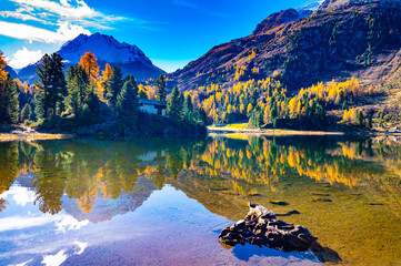 A view of the Cavlocc lake, in Engadine, Switzerland, and the mountains surrounding it and with autumn colours.
