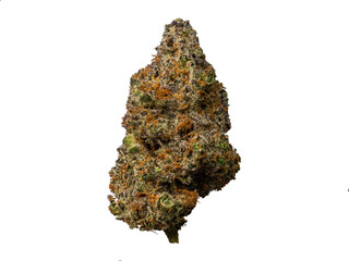 Cereal Milk Strain - Dry Cannabis Flower PNG