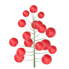 3D rendering illustration of a holly twig with berries