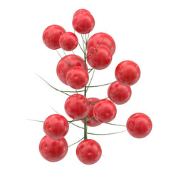 3D rendering illustration of a holly twig with berries