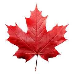 Obraz premium Red maple leaf isolated on white transparent background. Created with generative AI