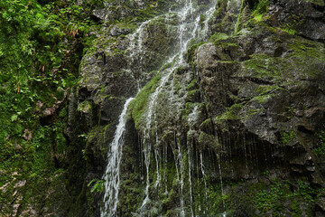 waterfall in the woods