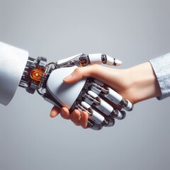 handshake between a person and robot  
