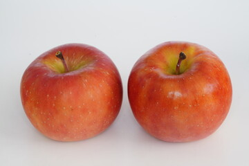 リンゴ　高徳　山形県産