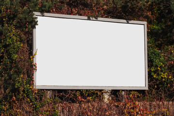 Empty copy space billboard. Leaves wall. Ivy blank space. Empty frame for advertisement. Natural park forest billboard. Foliage advertisement.