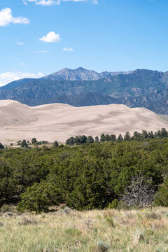 Great Sand Dunes National Park in Colorado on a sunny summer day, with mountains in the background