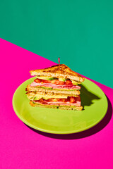 Plate with club sandwich with grilled bread, ham, lettuce, cheese, tomato and avocado over pink green background. Concept of fast food, taste, cooking, ingredients. Complementary colors. Poster, ad