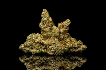 Fototapeta premium Jealousy Strain - Dry Cannabis Flower
