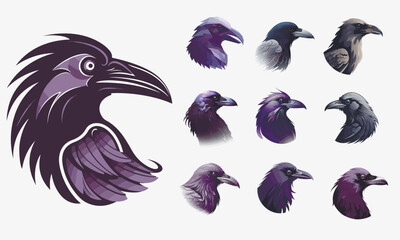 Vector Raven collection. Black and bue Crow, raven, birds set