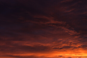 Clouds in the evening sky. Sunset 