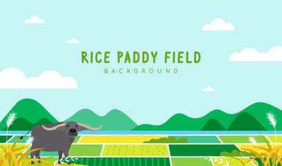 Rice paddy field landscape background vector illustration. Cute water buffalo 
