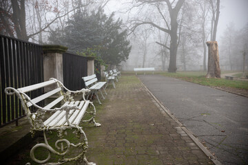 A bench in a calm park setting - misty autumn background