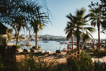 Stunning view of a tropical beach with palm trees, perfect for a vacation getaway