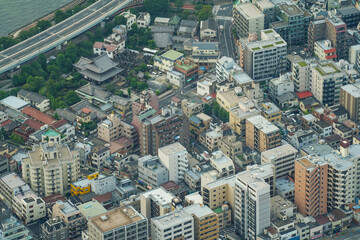 aView of the Japanese city from Tokyo Skytree, Japan