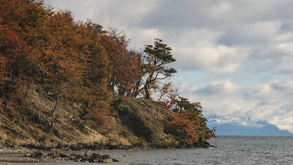 Fototapeta premium Torito bay, tierra del fuego, argentina