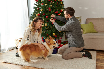 happy couple in winter clothing decorating Christmas tree with baubles near presents and corgi dog