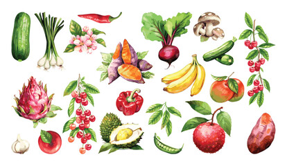 Watercolor painted collection of vegetables and fruits. Hand drawn fresh food design elements isolated on white background.
