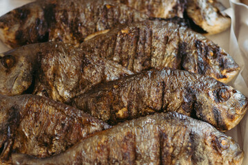 Grilled dorado fish. High quality photo