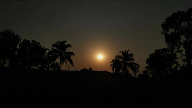 Point of view the shining sun over agricultural lands amidst palm trees at dusk
