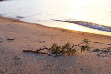 Autumn Sunset on the seashore. Reflection of the sun's rays in the sea waves.
