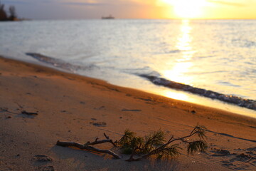 Autumn Sunset on the seashore. Reflection of the sun's rays in the sea waves.