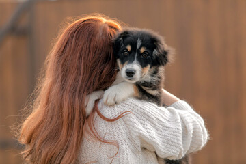 Australian Shepherd puppy with ownerAustralian Shepherd puppy with owner