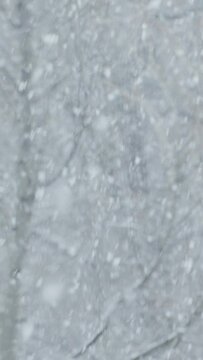 Vertical video. Snowfall outside window. Snow covered trees are like in fairy tale. Thick snow in December and January. Winter mood and atmosphere New Year and Christmas holidays. Magic winter in yard
