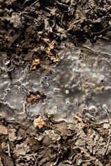 Spring ground covered with thawing snow