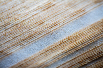 Extreme closeup of an old book from the side