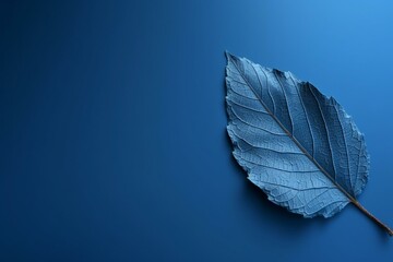 Leaf on blue with space. Clipping path. Generative AI