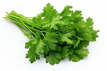 Selective focus on white background with falling parsley.