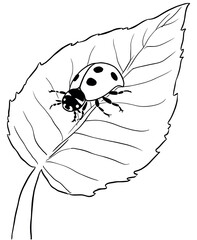 ladybug coloring pages for kids
