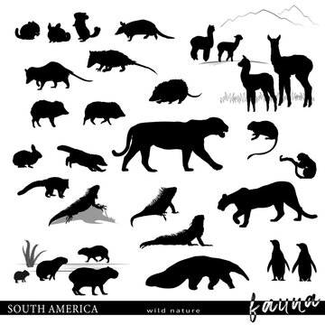 South America animal silhouettes set. Vector illustration.