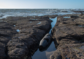 November 2022, the remains of a shell in overview, dating from the Second World War in the reefs of the beach of La Sauzaie, Vendée FRANCE.