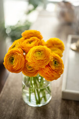 Yellow Ranunculus