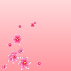 pink cherry blossom background with attached flower and copy space 