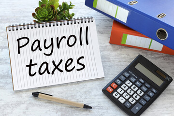 payroll taxes . text on a notepad near a plant in a pot. blue folder