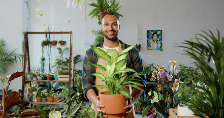 Portrait of good-looking contented botanical gardener worker in uniform standing in flower store and smiling showing into camera green seedling pot plant. Concept of family business and entrepreneur.