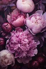 Bright pink and purple beautiful peonies pattern. Wedding decoration background. Backdrop for greeting card, banner for valentine day and women day