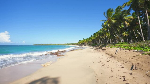 Walk along a tropical Hawaiian beach with yellow sand and turquoise sea under a blue cloudy sky. Palm trees on the shores of the Caribbean Sea. Summer on an amazing island. Amazing natural landscape.