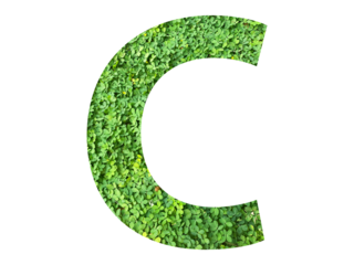 C shape made from green grass isolated on transparent background, suitable for template go green concept, PNG 